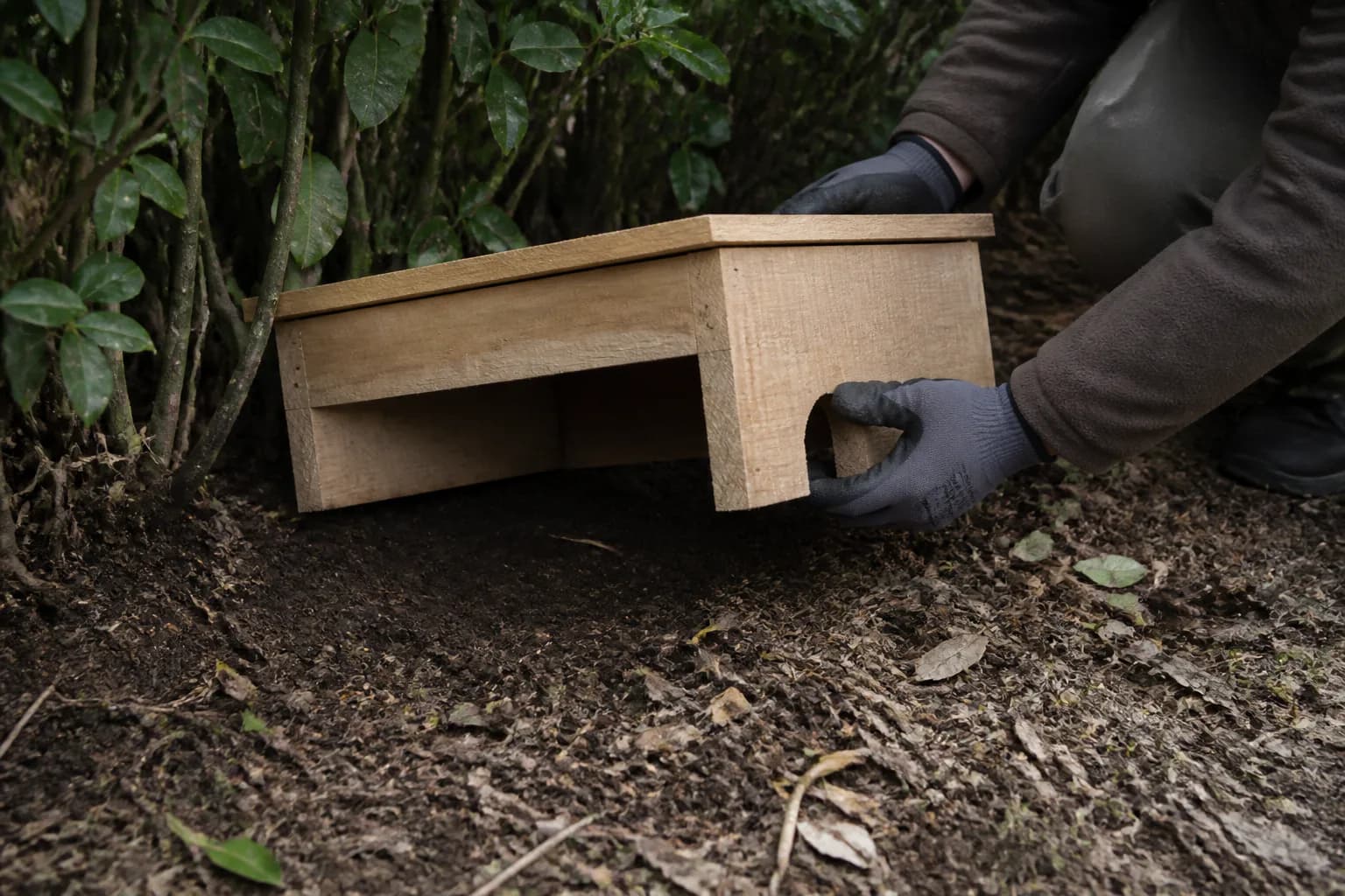 Bodenloses Igelhaus auf vorbereitetem trockenem Naturboden